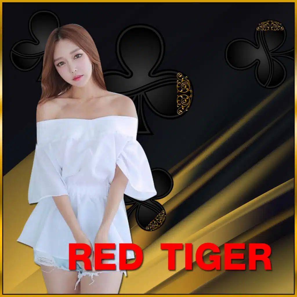 บบอลวันนี้ คาสิโนออนไลน์ครบวงจร สมัครง่าย รับโบนัสทันที
