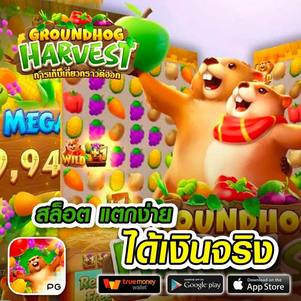 สปินฟรี Coin Master เล่นง่าย โบนัสใหม่ล่าสุด 2024